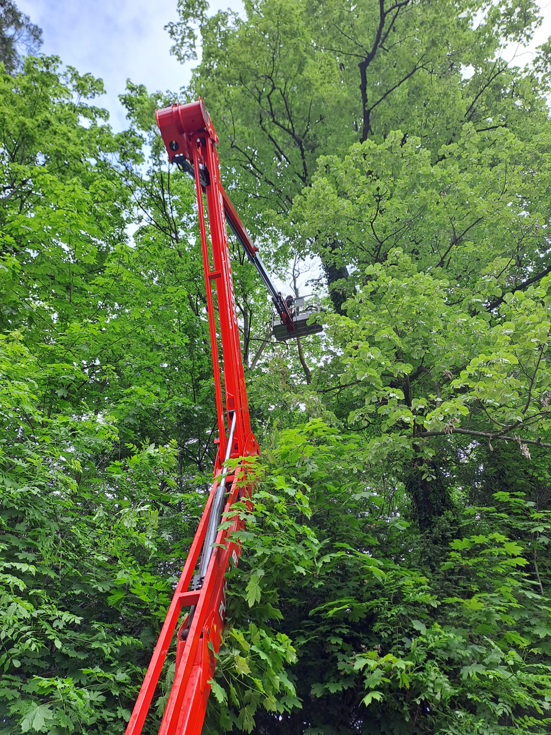 Aeschlimann Christian img nacelle demontage taille 20