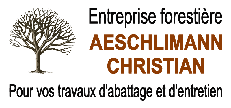 Aeshlimann Christian logo couleurs