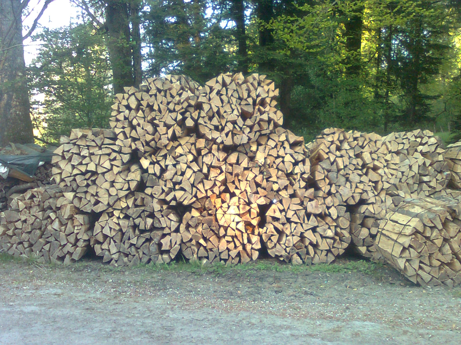 bois de chauffage