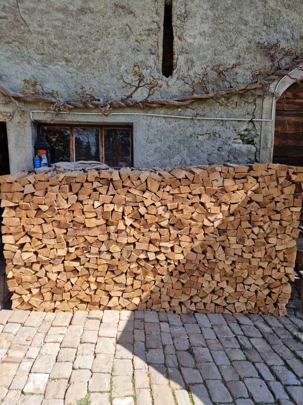 Bois de feu (6)